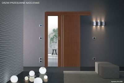 Wall-mounted sliding doors