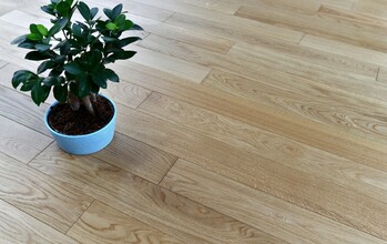  Dąb Parkiet Lity - PROMOCJA 59 zł !!!